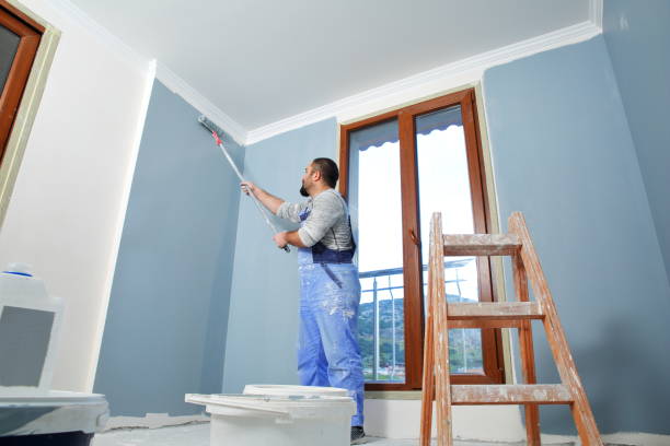 Best Touch-Up Painting  in North Valley Stream, NY